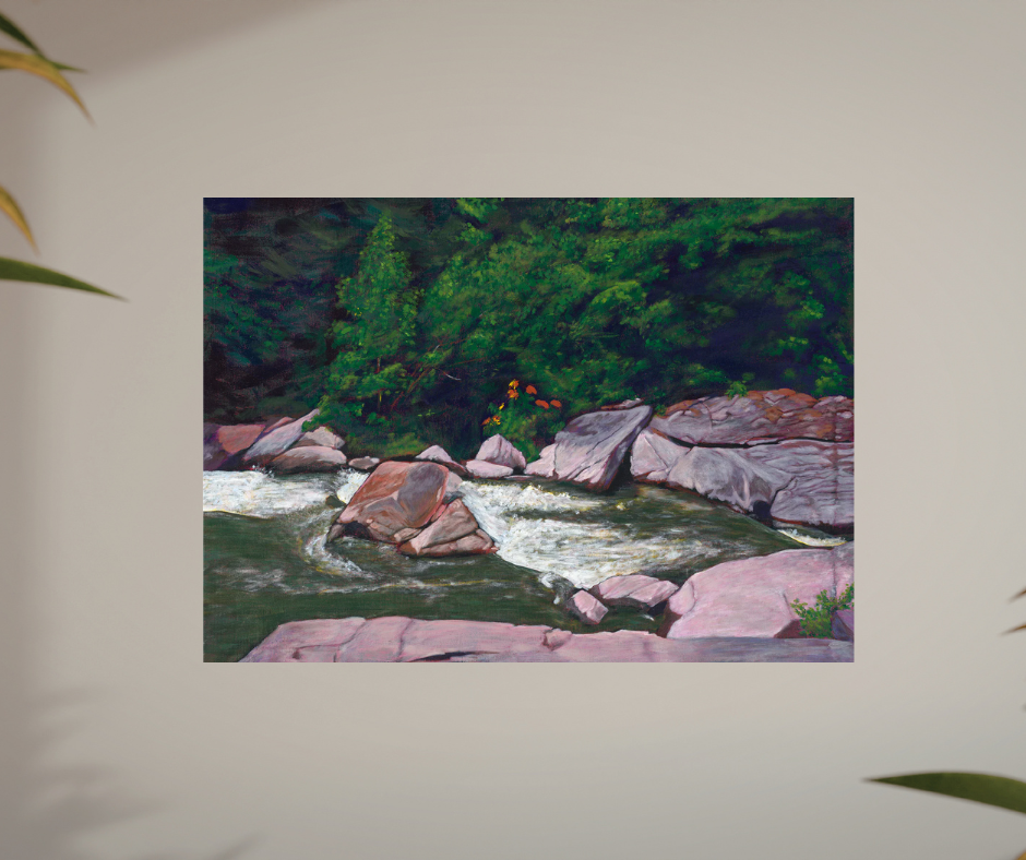 Linville Creek North Carolina August 2003