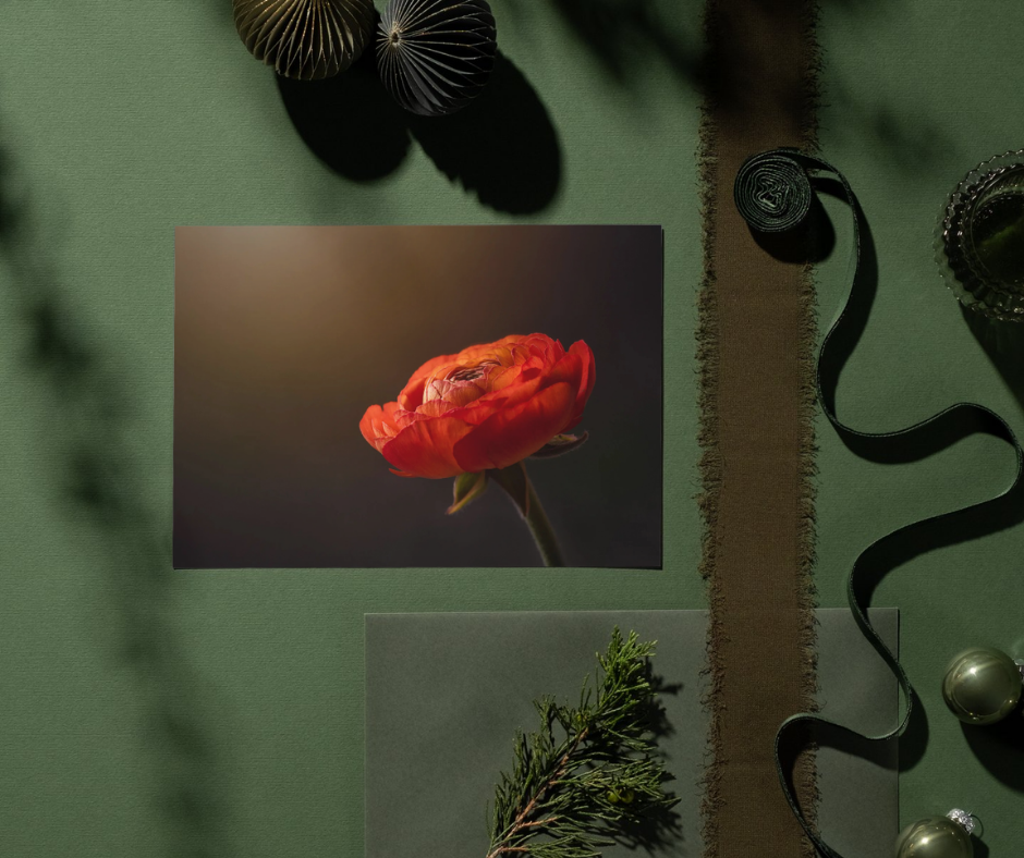 Luminous Ranunculus