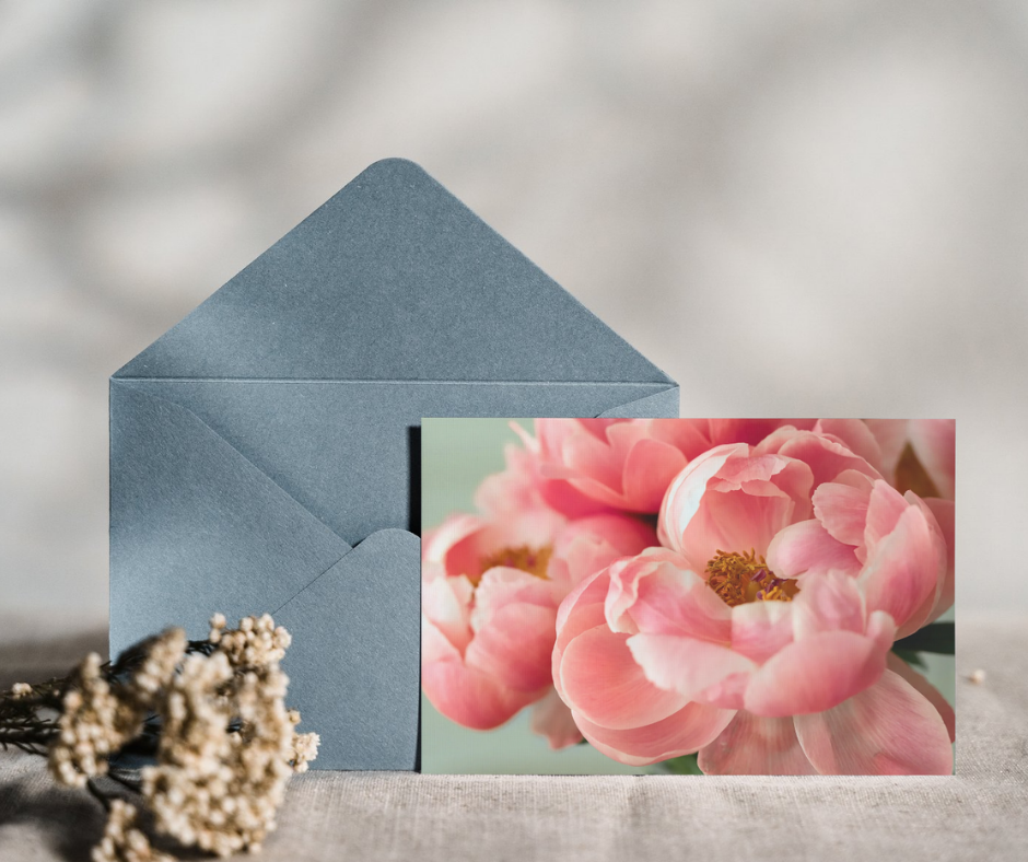 Pink Peonies