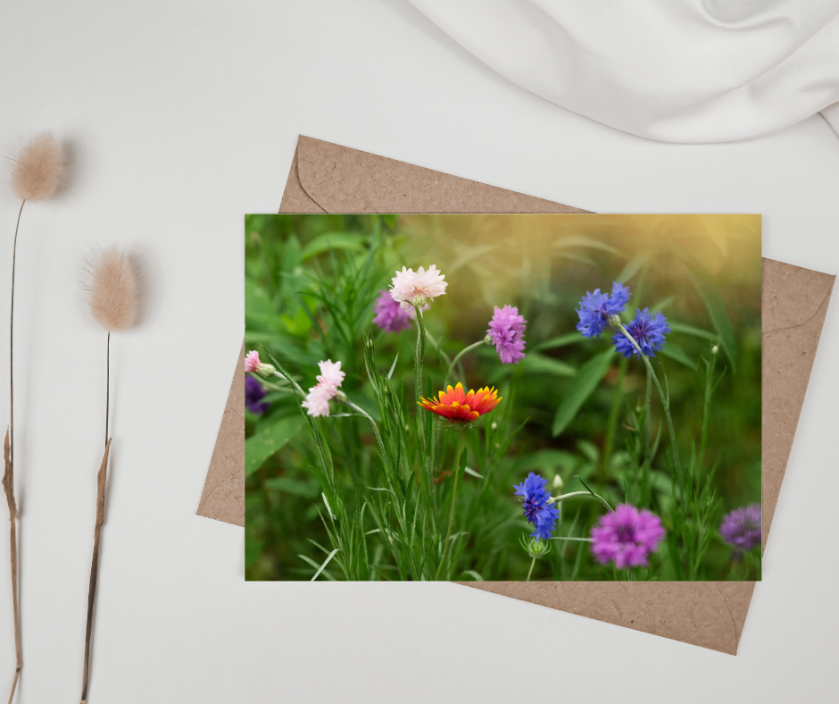 Vibrant Wildflowers