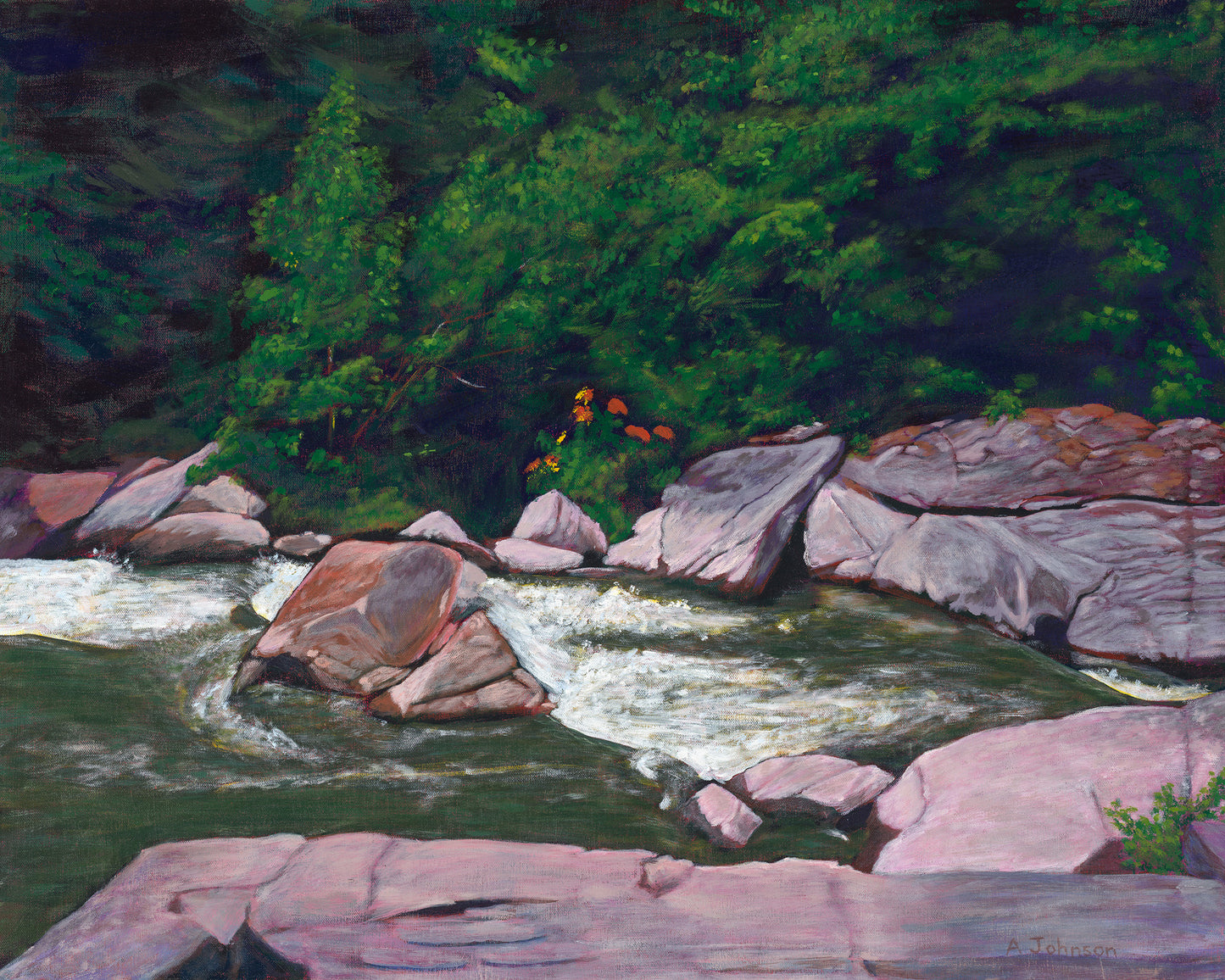 Linville Creek North Carolina August 2003